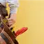 Handyman repair service in Tucson, AZ for home fixes and improvements